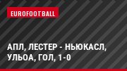 АПЛ, Лестер - Ньюкасл, Ульоа, Гол, 1-0