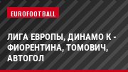 Лига Европы, Динамо К - Фиорентина, Томович, Автогол