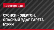 Суонси - Эвертон. Опасный удар Гарета Бэрри
