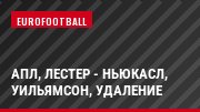 АПЛ, Лестер - Ньюкасл, Уильямсон, Удаление