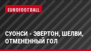 Суонси - Эвертон, Шелви, отмененный гол