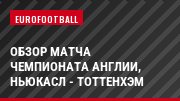 Обзор матча чемпионата Англии, Ньюкасл - Тоттенхэм