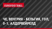 ЧЕ, Венгрия - Бельгия, Гол, 0-1, Алдервейрелд