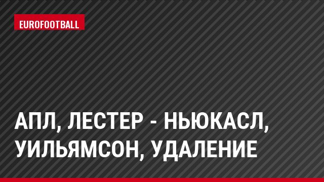 АПЛ, Лестер - Ньюкасл, Уильямсон, Удаление