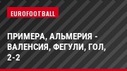 Примера, Альмерия - Валенсия, Фегули, Гол, 2-2