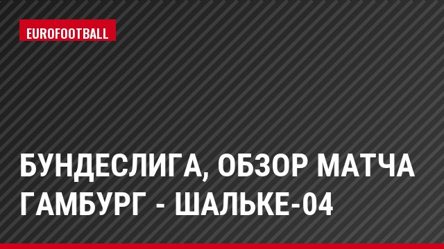 Бундеслига, Обзор матча Гамбург - Шальке-04