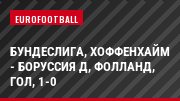Бундеслига, Хоффенхайм - Боруссия Д, Фолланд, Гол, 1-0