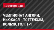 Чемпионат Англии, Ньюкасл - Тоттенхэм, Колбэк, Гол, 1-1