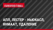 АПЛ, Лестер - Ньюкасл, Янмаат, Удаление