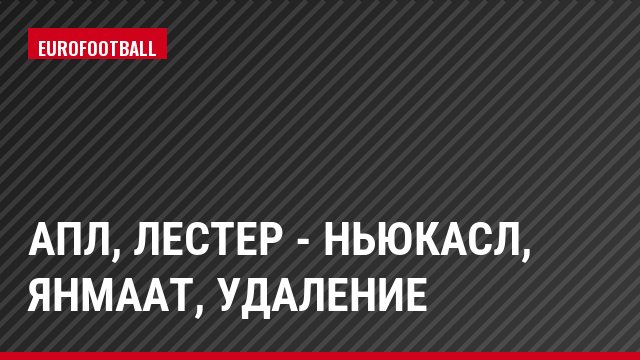 АПЛ, Лестер - Ньюкасл, Янмаат, Удаление