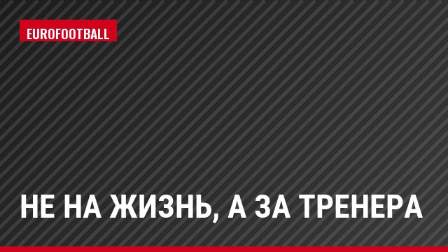 Не на жизнь, а за тренера