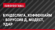 Бундеслига, Хоффенхайм - Боруссия Д, Модест, Удар