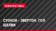 Суонси - Эвертон. Гол Шелви