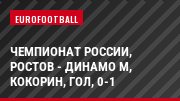 Чемпионат России, Ростов - Динамо М, Кокорин, Гол, 0-1