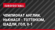 Чемпионат Англии, Ньюкасл - Тоттенхэм, Шадли, Гол, 0-1