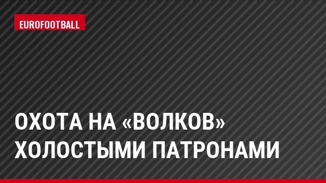 Охота на «волков» холостыми патронами