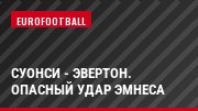 Суонси - Эвертон. Опасный удар Эмнеса