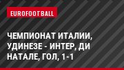Чемпионат Италии, Удинезе - Интер, Ди Натале, Гол, 1-1