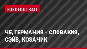 ЧЕ, Германия - Словакия, Сэйв, Козачик