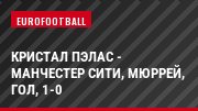 Кристал Пэлас - Манчестер Сити, Мюррей, Гол, 1-0