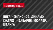 Лига чемпионов. Динамо (Загреб) - Бавария, Мюллер, Штанга