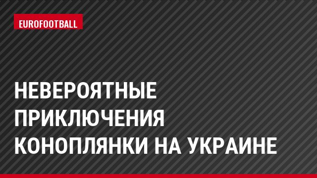 Невероятные приключения Коноплянки на Украине