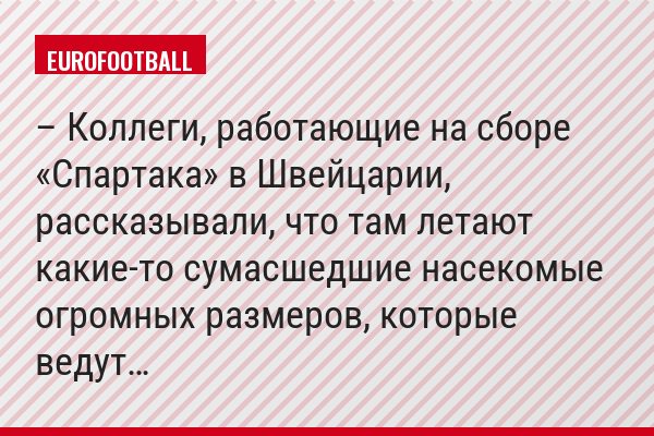 – Коллеги, работающие на сборе «Спартака» в Швейцарии, рассказывали, что там летают какие-то сумасшедшие насекомые огромных размеров, которые ведут…