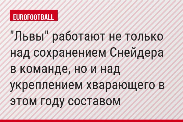 "Львы" работают не только над сохранением Снейдера в команде, но и над укреплением хварающего в этом году составом